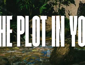 Disco The Plot In You