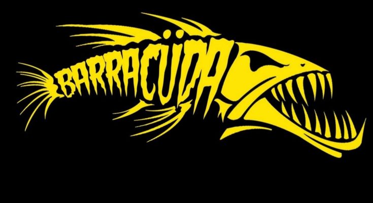 Barracuda