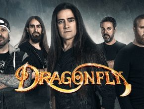 foto grupal dragonfly