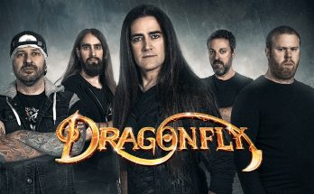foto grupal dragonfly